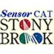 Sensor CAT