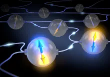 Quantum Network Visual